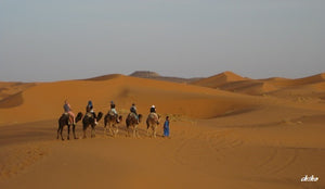 モロッコでハズせない場所  サハラ砂漠